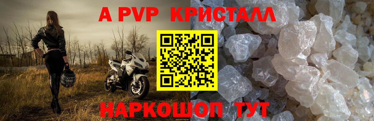 Alfa_PVP СК КРИС Новозыбков