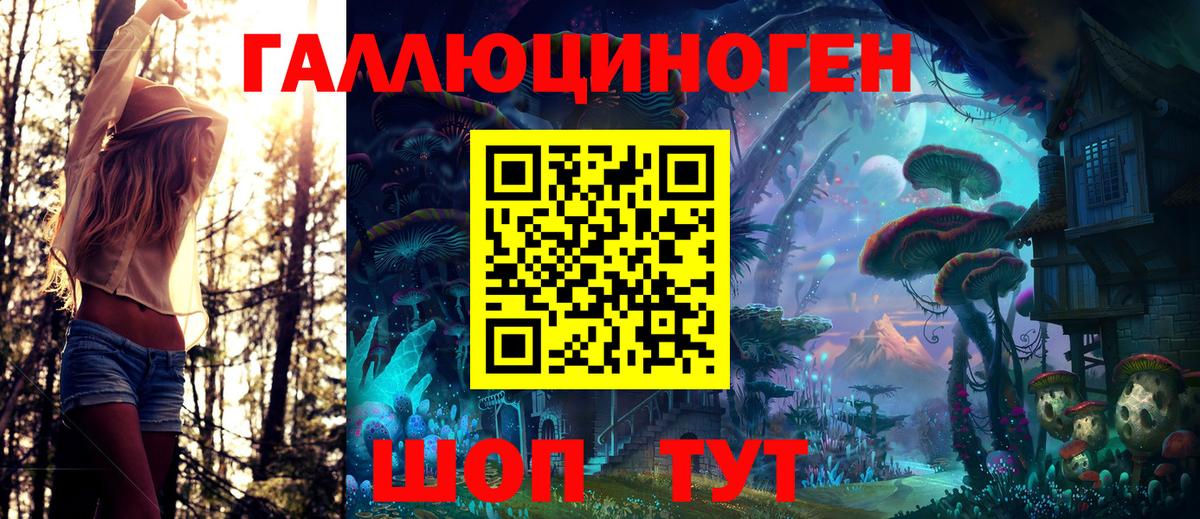 Новозыбков  Галлюциногенные грибы Magic Shrooms  сколько стоит  Вход с VPN 